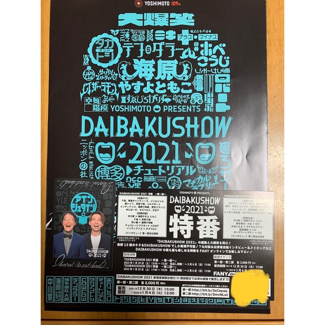 daibakushow2021 アインシュタイントレカ　パンフ　割引券セット チケットの優待券/割引券(その他)の商品写真