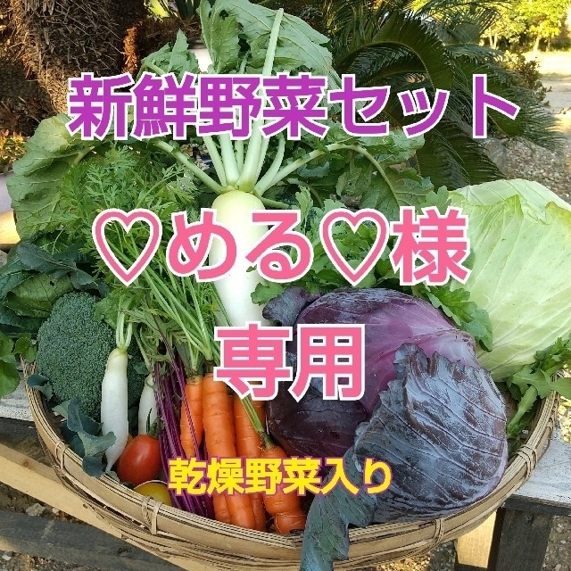 新鮮野菜【畑から直送便】80サイズ乾燥野菜のセット 食品/飲料/酒の食品(野菜)の商品写真