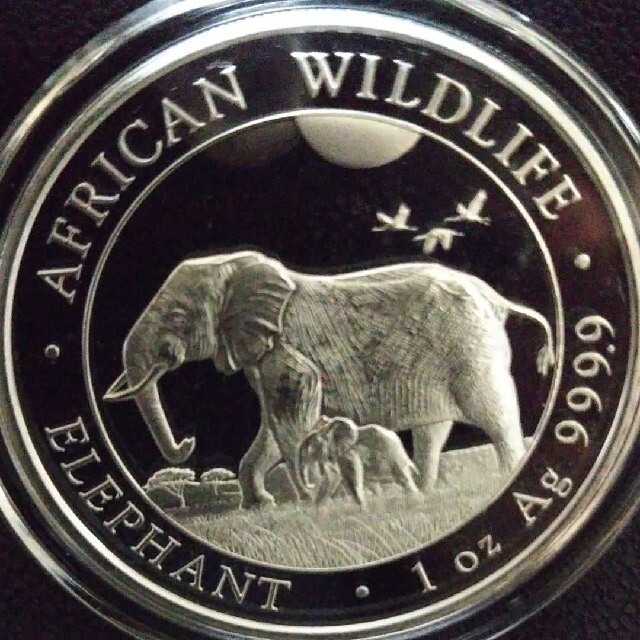 最新作 2022年 ソマリア ワイルドライフ アフリカ ゾウ 1オンス銀貨 純銀