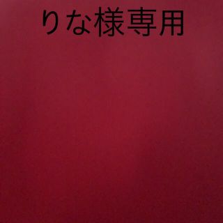 ジェイアール(JR)の*りなさま専用(その他)