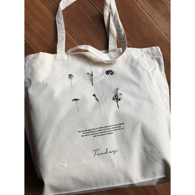 tandey 2023 happy bag 福袋 オオカミとフクロウ eva.gov.co