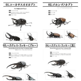 バンダイ(BANDAI)のいきもの大図鑑 かぶとむし02 ノーマル4種コンプ(その他)