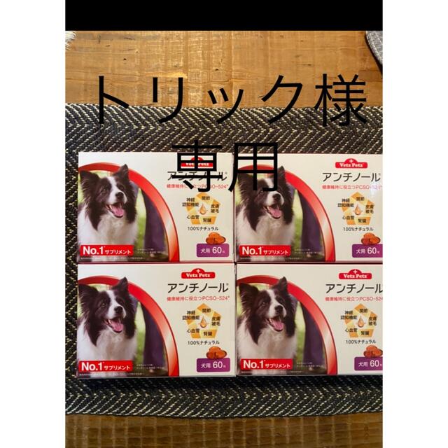 犬用アンチノール60粒　4箱　専用ペット用品