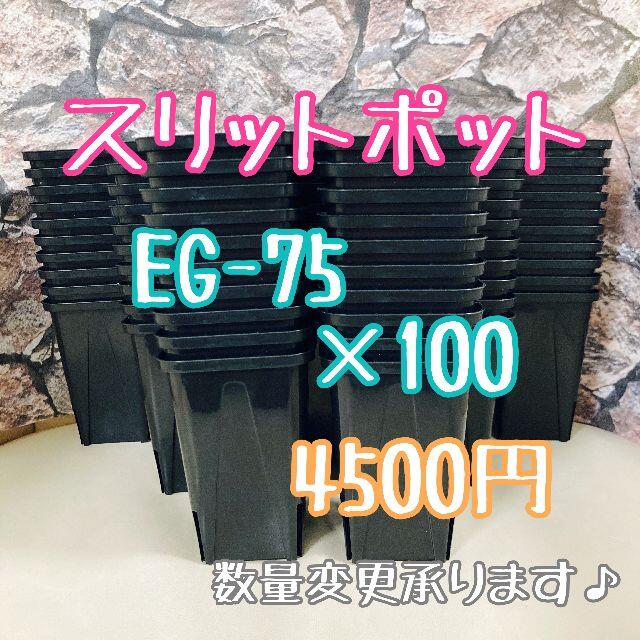 100個◎ロングスリットポット EG-75L slitpot プラ鉢 スリット鉢