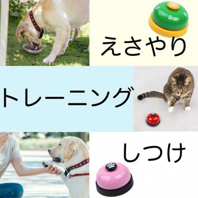 トレーニングベル 緑 黄 犬 猫 ペット おもちゃ しつけ 訓練 コール その他のペット用品(犬)の商品写真