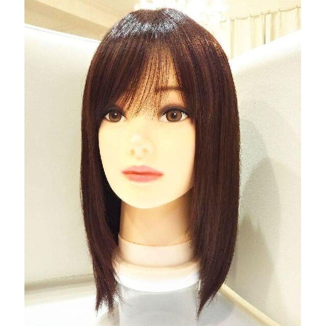レミー人毛100%I型シルクスキン総手植え地肌✨有村架純❣️艶髪✨美人
