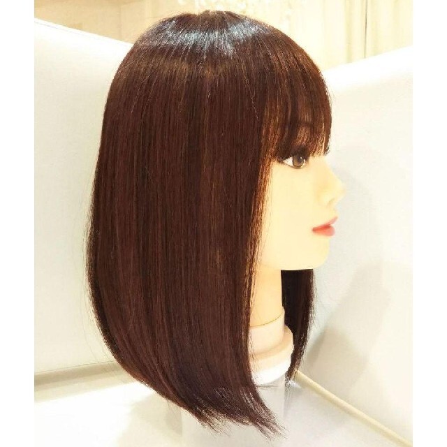 レミー人毛100%I型シルクスキン総手植え地肌✨有村架純❣️艶髪✨美人