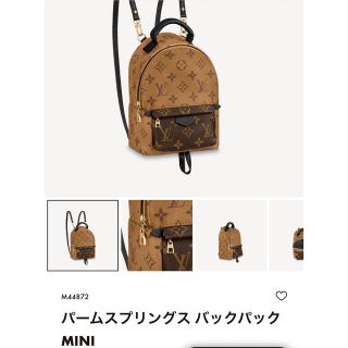 ルイヴィトン(LOUIS VUITTON)の【mina様専用】LOUIS VUITTON パームスプリングスバッグパックミニ(リュック/バックパック)