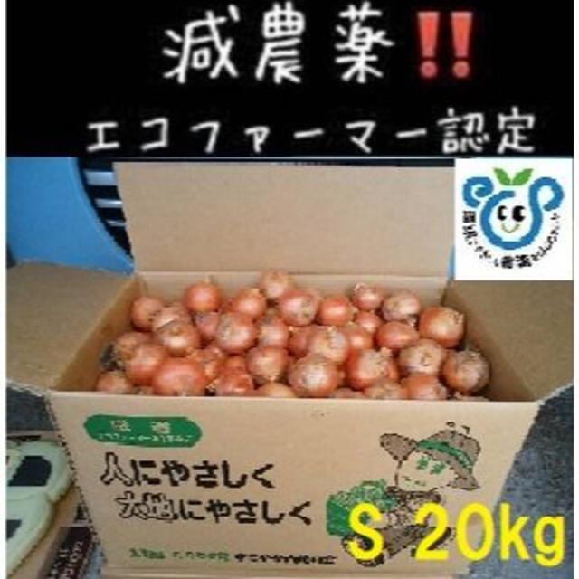 北海道産 小さい玉ねぎ 20kg 食品/飲料/酒の食品(野菜)の商品写真