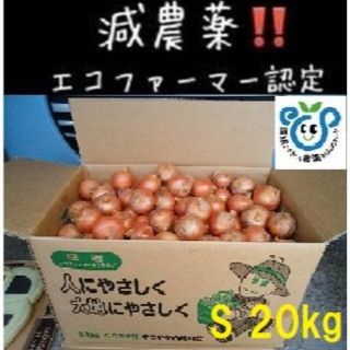 北海道産 小さい玉ねぎ 20kg(野菜)