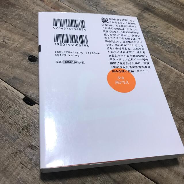少女 エンタメ/ホビーの本(文学/小説)の商品写真