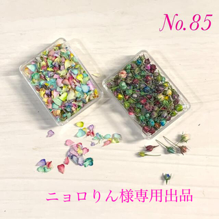 専用出品　ドライフラワー　極小バラ　No.85 ・かすみ草　No.35(ドライフラワー)