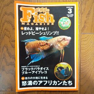 熱帯魚のFish Magazine 2006年第3号(趣味/スポーツ)