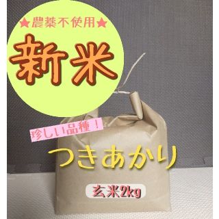 【貴重】農薬不使用★令和3年産 つきあかり玄米2kg【割引中】(米/穀物)