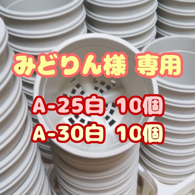 プラ鉢2.5号鉢【A-25】10個 他 スリット鉢 丸 プレステラ 多肉植物 ハンドメイドのフラワー/ガーデン(プランター)の商品写真