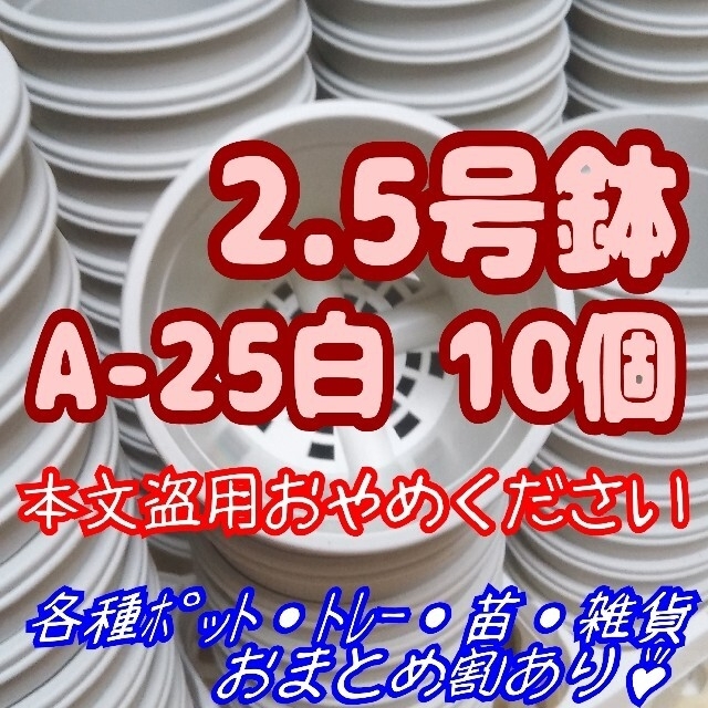 プラ鉢2.5号鉢【A-25】10個 他 スリット鉢 丸 プレステラ 多肉植物 ハンドメイドのフラワー/ガーデン(プランター)の商品写真