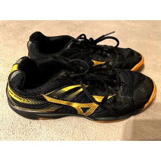 ミズノ(MIZUNO)のMIZUNO⭐︎バレーボールシューズ⭐︎美品⭐︎(バレーボール)