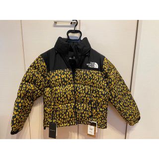 ザノースフェイス(THE NORTH FACE)のTHE NORTH FACE Brave Jacket  レオパード(ダウンジャケット)