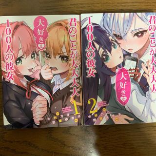 シュウエイシャ(集英社)の君のことが大大大大大好きな１００人の彼女  1巻2巻(青年漫画)