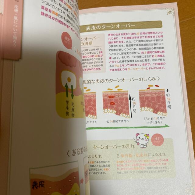 日本化粧品検定２級・３級対策テキストコスメの教科書 コスメコンシェルジュを目指そ エンタメ/ホビーの雑誌(結婚/出産/子育て)の商品写真