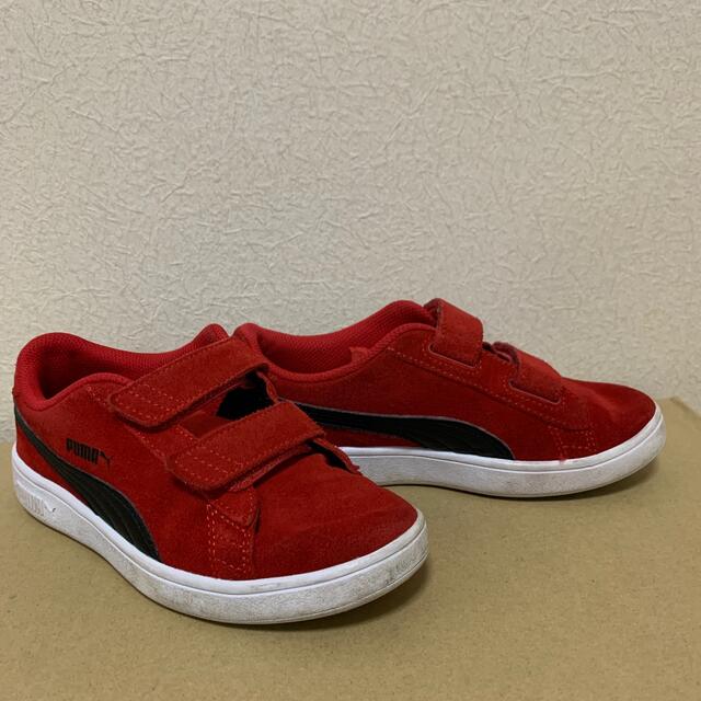 PUMA(プーマ)のPUMAスニーカー21センチ キッズ/ベビー/マタニティのキッズ靴/シューズ(15cm~)(スニーカー)の商品写真