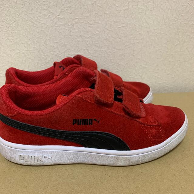 PUMA(プーマ)のPUMAスニーカー21センチ キッズ/ベビー/マタニティのキッズ靴/シューズ(15cm~)(スニーカー)の商品写真