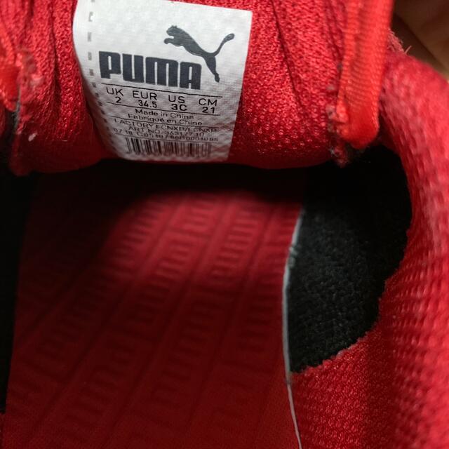 PUMA(プーマ)のPUMAスニーカー21センチ キッズ/ベビー/マタニティのキッズ靴/シューズ(15cm~)(スニーカー)の商品写真