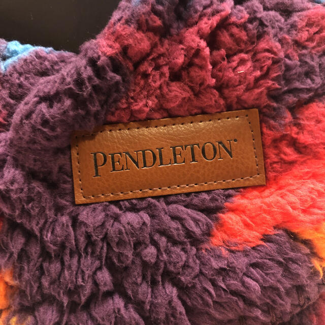 ペンドルトン PENDLETONブランケット毛布 ツインサイズ 2
