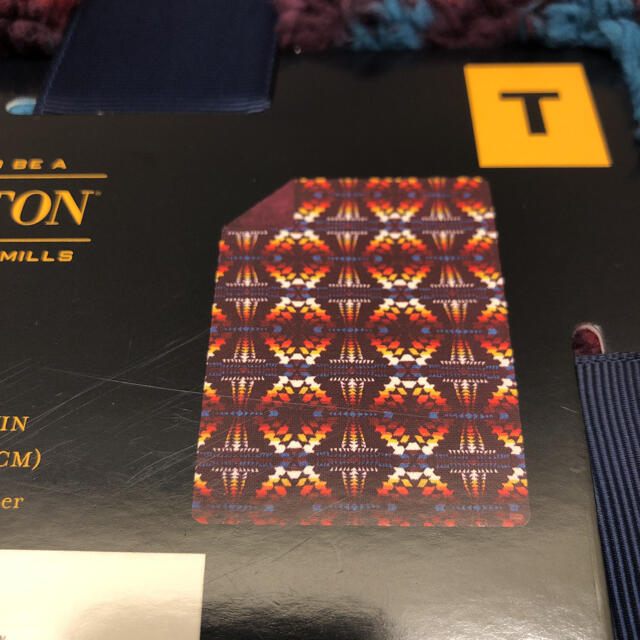 ペンドルトン PENDLETONブランケット毛布 ツインサイズ 3