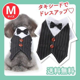 大人気♡ 犬服 スーツ Mサイズ フォーマル  タキシード 蝶ネクタイ ドッグ(犬)