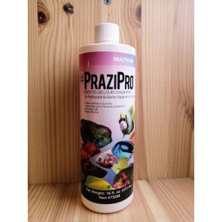 Hikari Prazipro 16oz　473ml  ヒカリ　プラジプロ