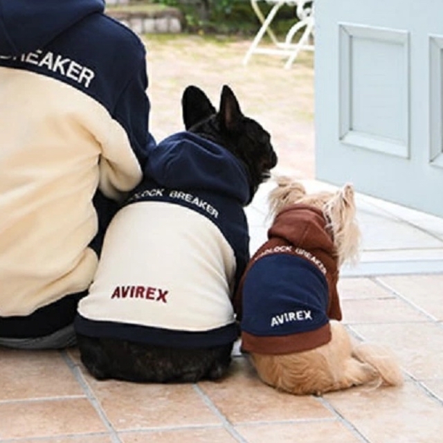 新品✨タグ付き♪ AVIREX 裏起毛で暖かい????犬服　大人気❣️