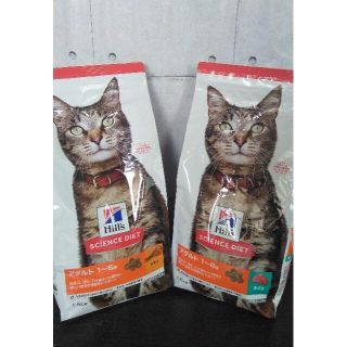 ヒルズスタイル 猫の通販 100点以上 | hills styleを買うならラクマ