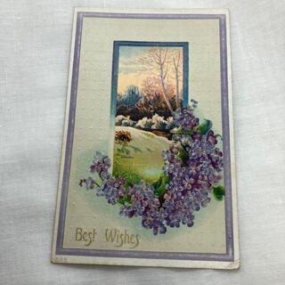 アンティーク ポストカード 紫のお花 風景画 C252(その他)