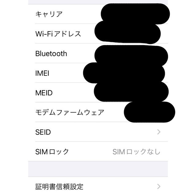 iPhone SE Silver 64 GB SIMフリー 4