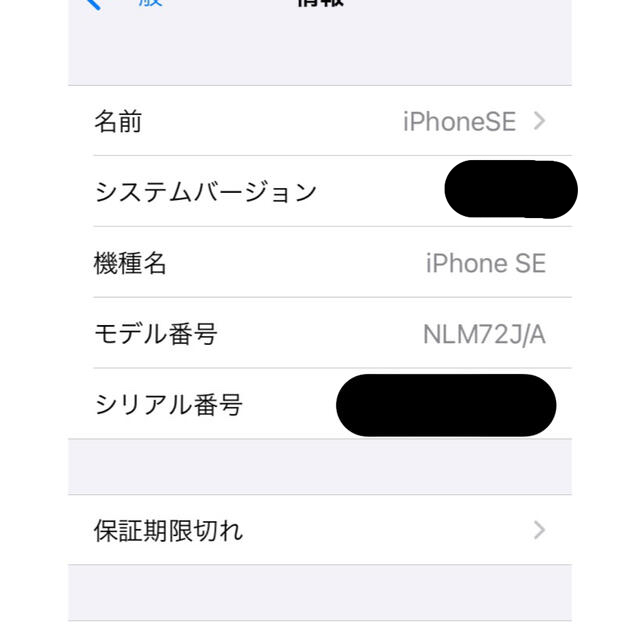 iPhone SE Silver 64 GB SIMフリー 5