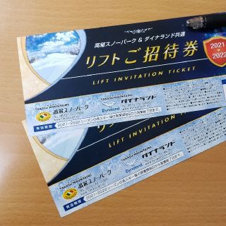 バラ売り可)高鷲ダイナランド共通リフト券 施設利用券 スキー場
