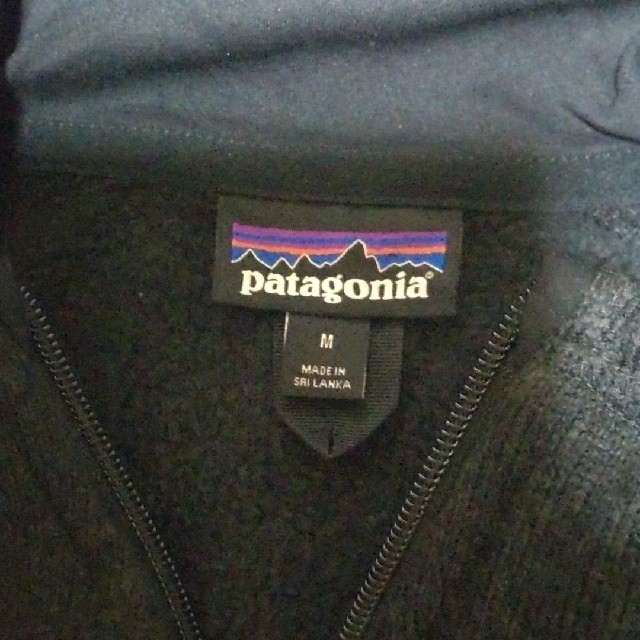 patagonia(パタゴニア)の✱ patagonia ベスト メンズのトップス(ベスト)の商品写真