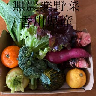 無農薬冬野菜&柑橘類セット、香川県産(野菜)