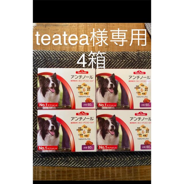 【正規品】 犬用アンチノール60 粒入　4箱　teatea様専用 犬