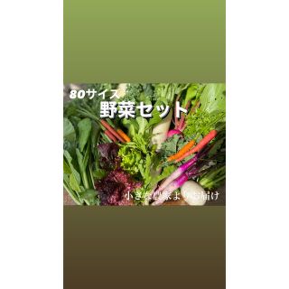 新鮮野菜セット　京都の小さな農家よりお届け(野菜)