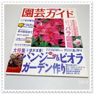 カドカワショテン(角川書店)の園芸ガイド　2001年12月号　冬●薔薇　パンジー　ビオラ　ガーデン　寄せ植え(趣味/スポーツ/実用)