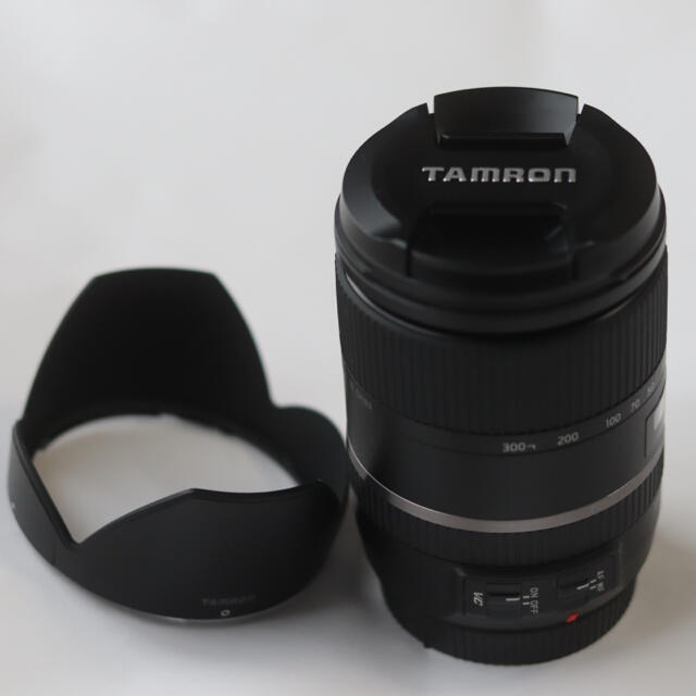 TAMRON 28-300F3.5-6.3DI VC PZD (A010 E)