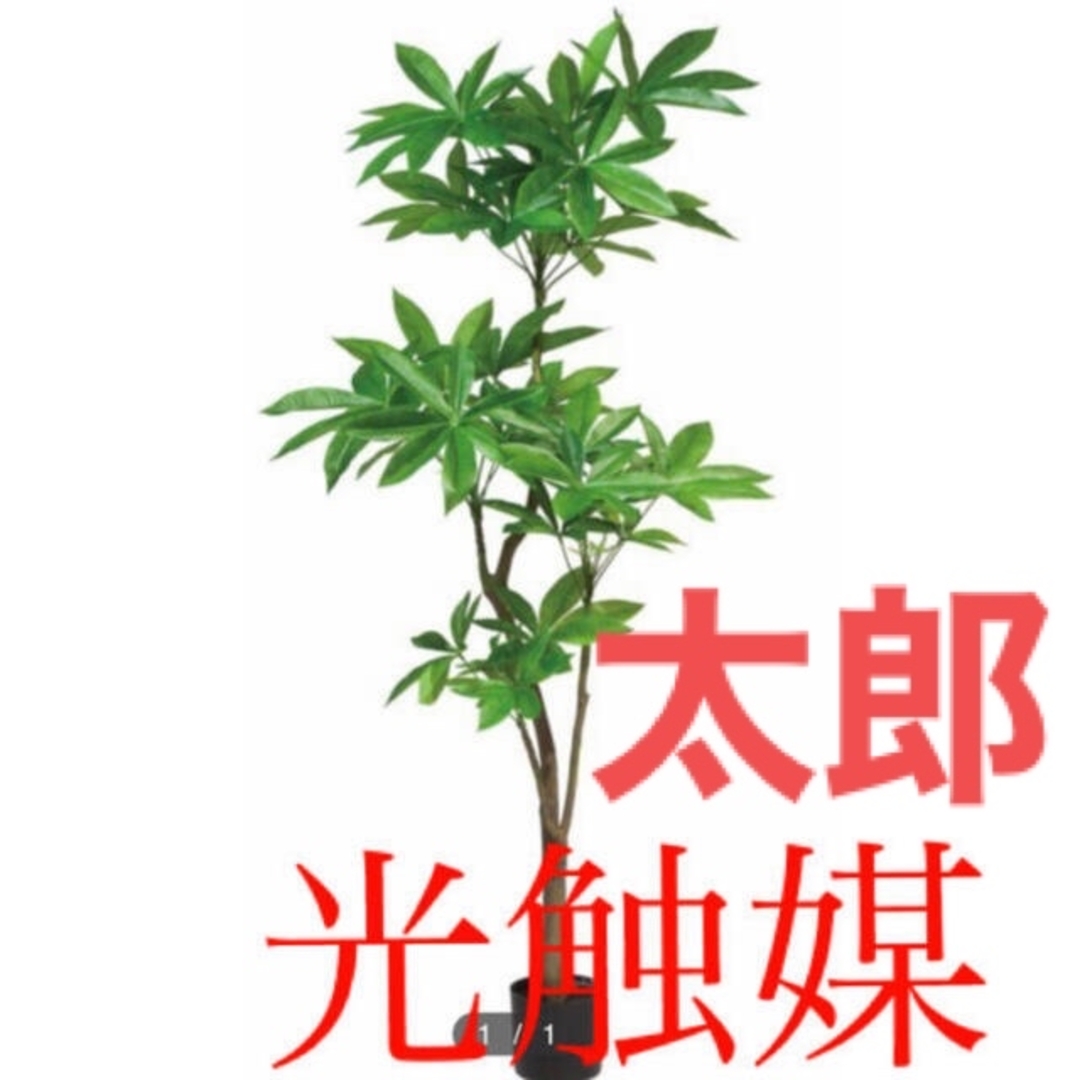 光触媒 人工観葉植物 ウォールグリーン フェイク アレンジ パキラ180-
