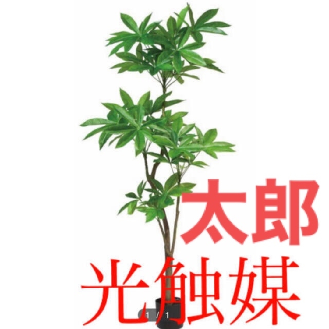 即発送可 光触媒 人工観葉植物 ウォールグリーン フェイク アレンジ