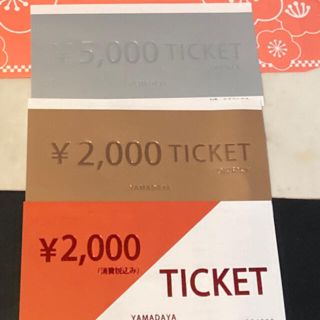 スコットクラブ(SCOT CLUB)のヤマダヤYAMADAYA チケット商品券9000円スコットクラブラディエイト  (その他)