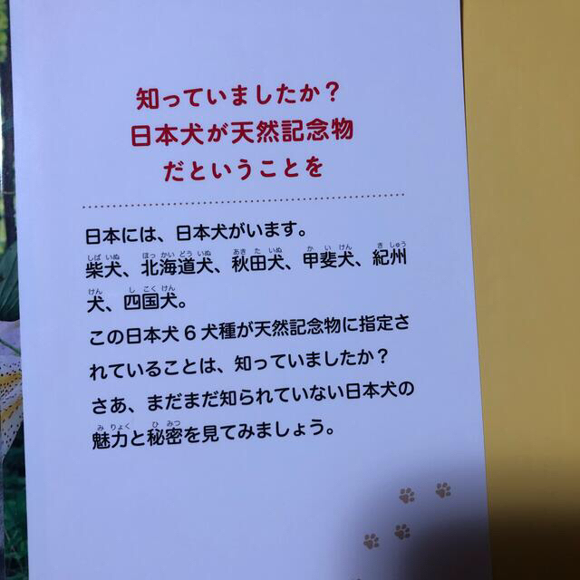 岩合光昭の日本犬図鑑 エンタメ/ホビーの本(絵本/児童書)の商品写真