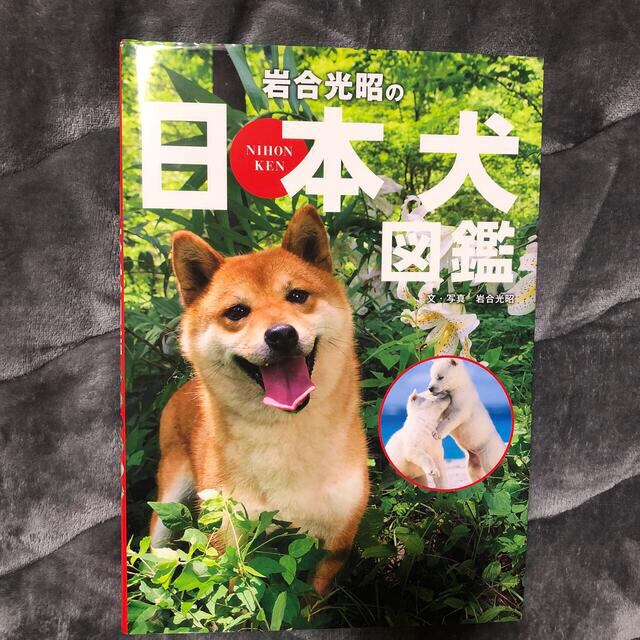 岩合光昭の日本犬図鑑 エンタメ/ホビーの本(絵本/児童書)の商品写真