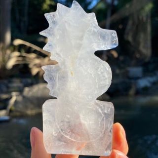 水晶　原石　クリアクォーツ　タツノオトシゴ　海馬(置物)