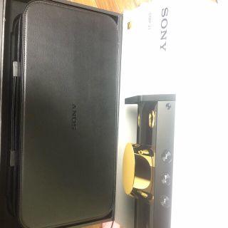 ソニー(SONY)のSony dmp z1 美品(ポータブルプレーヤー)